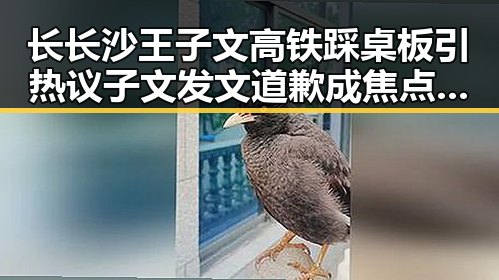 长长沙王子文高铁踩桌板引热议 子文发文道歉成焦点 60集精彩剧情大盘点中吃瓜娱乐圈全靠演技