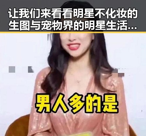 让我们来看看明星不化妆的生图与宠物界的明星生活的反差魅力
