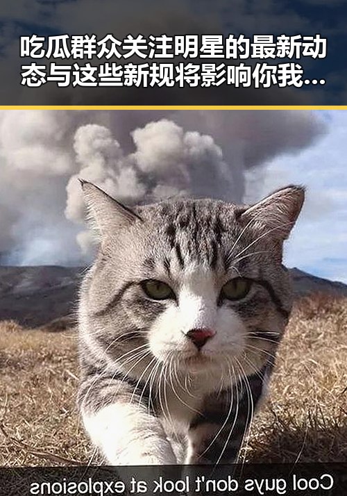 吃瓜群众关注明星的最新动态与这些新规将影响你我生活的结合